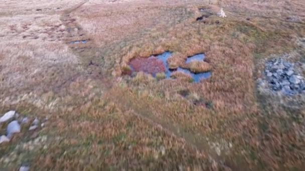 Aerial Drone Shot Moving Fast Grassy Moorland Small Pond Path — Stockvideo