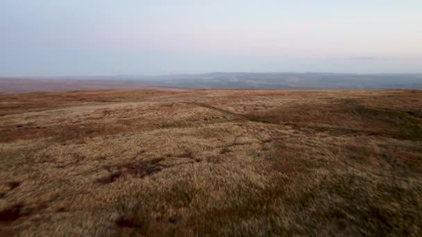 Aerial Drone Moving Grassy Moorland Wind Farm Fields Background — 비디오