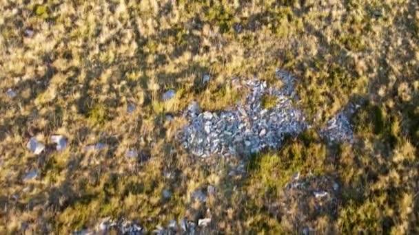Aerial Drone Shot Moving Grass Rocks Bright Sunlight — стоковое видео