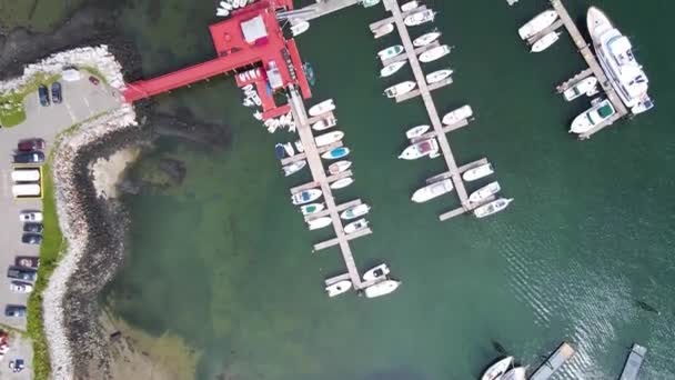 Boats Docked Rockland Harbor Maine Usa Aerial Top View Mid — Stok video