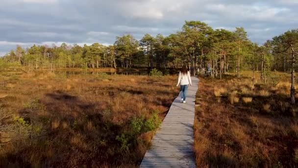 Drone Aerial Solo Woman Walking Wooden Pathway Bog Autumn Recorded — Vídeos de Stock