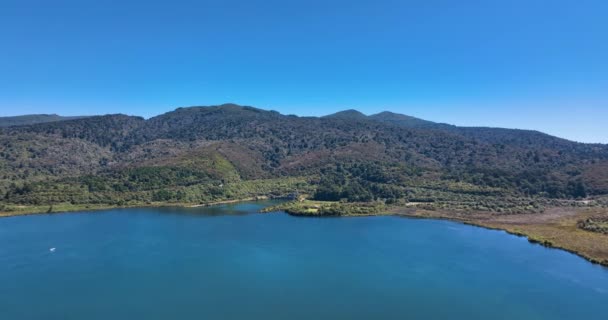 Antenn Mot Opotaka Över Rotoairasjöns Skimrande Vatten Nya Zeeland — Stockvideo