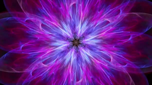 Sacred Zawsze Zmienia Fraktalny Kwiat Lotosu Purpurowy Kwiat Płynne Pętli — Wideo stockowe