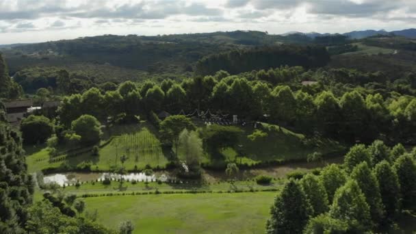 Drone Revelando Local Casamento Campo Verde Sob Árvore Com Luzes — Vídeo de Stock