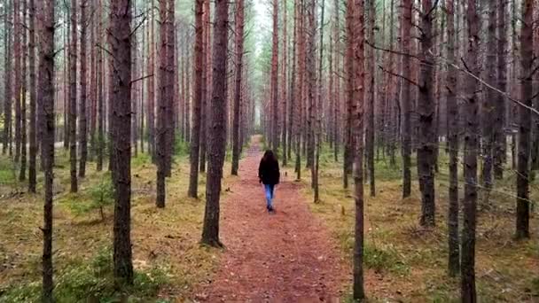 Woman Walking Pine Tree Forest Autumn Recorded Prnu Estonia Autumn — Stockvideo