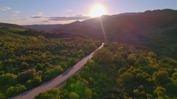 Drone Volando Por Camino Del Campo — Vídeos de Stock