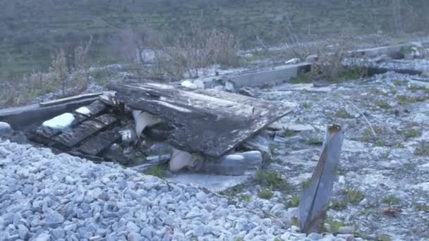 Burnt Pallet Remnants Moria Refugee Camp Fire Lesvos Island Greece — Stockvideo