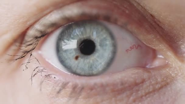 Close Olho Azul Mulher Olhos Piscando Iris Pupil Constricts — Vídeo de Stock