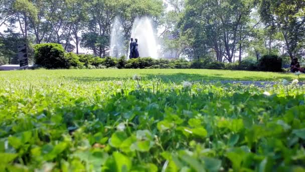 Grand Army Plaza Bailey Fountain Background Lush Green Grass Prospect — 비디오