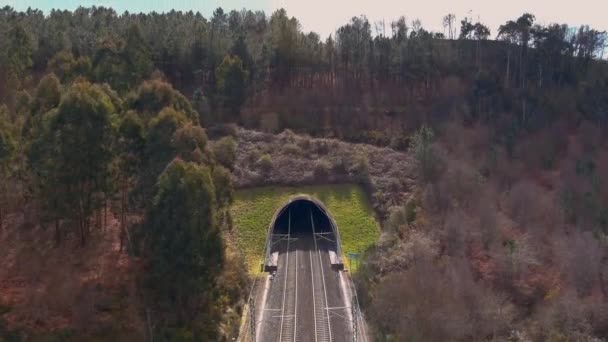 Vista Aérea Entrada Del Túnel Ferroviario Pedestal Arriba — Vídeos de Stock