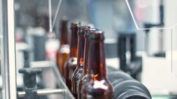 Bottles Conveyor Belt Beer Factory — Vídeo de Stock