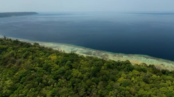 Uçsuz Bucaksız Deniz Manzaralı Tropikal Bir Adanın Üzerinde — Stok video