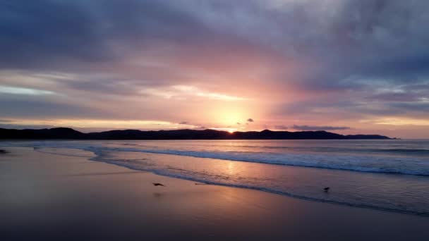 Spokojny Krajobraz Plaży Podczas Zachodu Słońca Spirits Bay Nowa Zelandia — Wideo stockowe