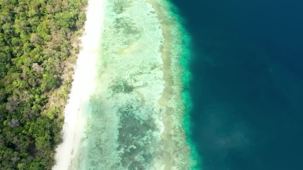 Drone Flying Tropical Island Endless Beaches — Wideo stockowe