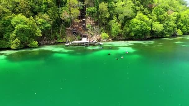 Drone Πετούν Πάνω Από Τους Ανθρώπους Snorkeling Ένα Τροπικό Νησί — Αρχείο Βίντεο