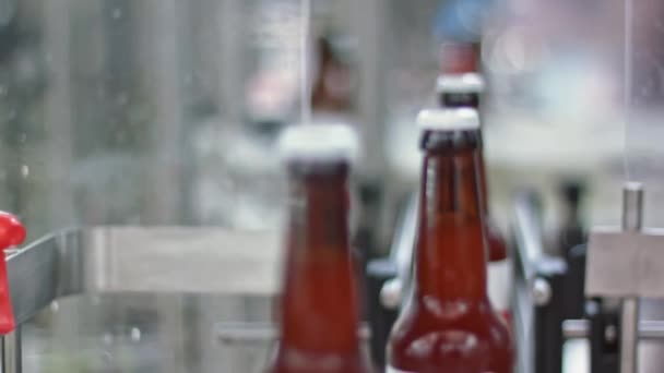 ビール醸造所でビール瓶詰め用技術ライン — ストック動画
