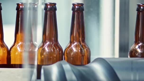 Beer Bottles Moving Factory Line Brewery Brewing Process Brewery Factory — Stock Video