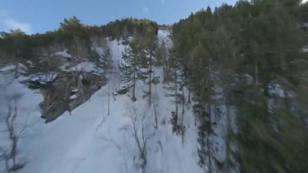 Luchtrace Drone Fpv Bomen Van Pyreneeën Besneeuwde Bergen Met Zonnevlam — Stockvideo