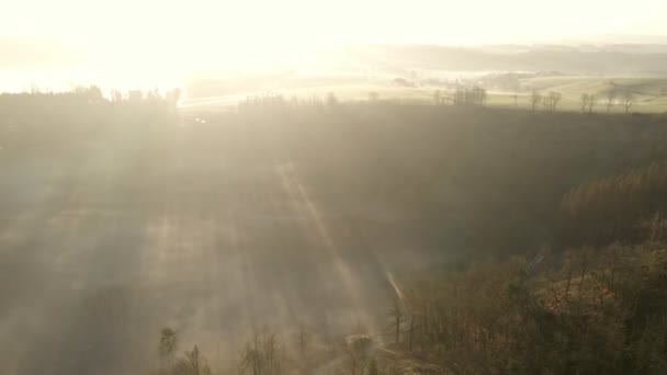 Soleil Brillant Bas Brille Travers Les Arbres Nus Épaisse Brume — Video