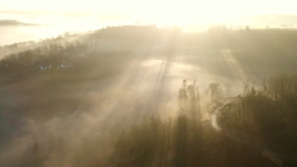 Sunbeams Shining Trees Thick Fog Overwhelming Sunrise West Germany Aerial — стоковое видео