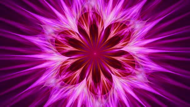 Piercing Ray Fractal Lotus Flower Purple Bloom Seamless Looping Calm — ストック動画