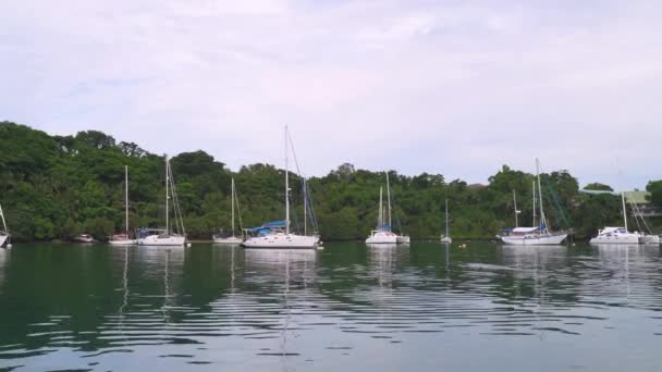 Stabilized Shot Parked Yachts Private Island Philippines — Video