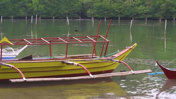 Barca Pescuit Galbenă Parcată Calm Mangrovi Fundal — Videoclip de stoc