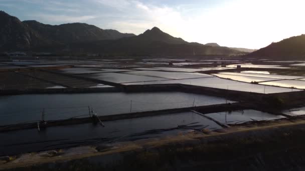 Drönarflygning Saltfält Saltextraktion Phan Rang Vietnam Ninh Thuanprovinsen — Stockvideo