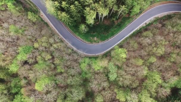 Winding Road Forrest Eifel Germany — Stock Video