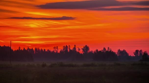 Forest Silhouetted Fiery Orange Sunset Dramatic Nature Landscape — стоковое видео