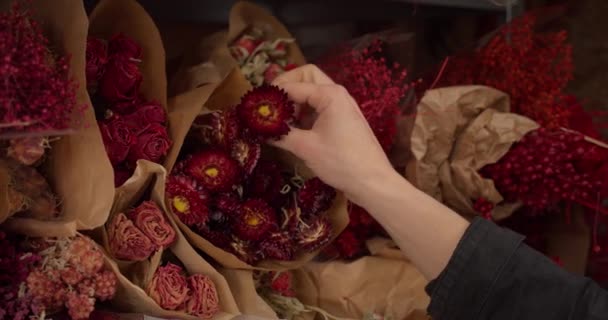 Çiçeklerle Dolu Raftan Kırmızı Çiçek Toplayan Bir Çiçekçi Gimbal Kapat — Stok video