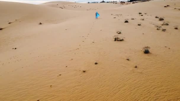 Aerial Young Female Beautiful Wavy Blue Dress Walking Desert Sand — Stockvideo