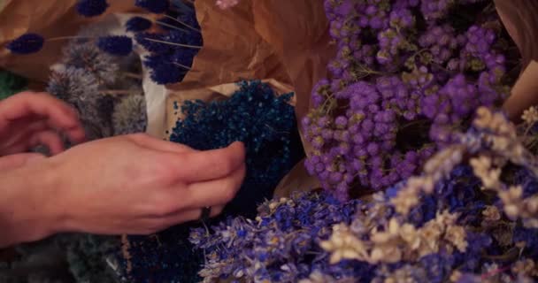 Blommande Händer Plocka Torr Mörkblå Gypsophila Från Hyllan Gimbal Närbild — Stockvideo
