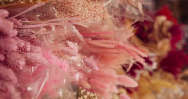 Scene Shelf Dried Flowers Shades Pink Gimbal Walking Backwards — Stockvideo