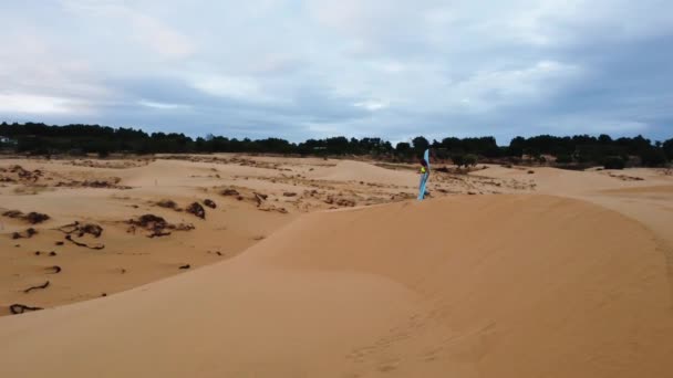 Aerial Successful Young Woman Celebrating Life Standing Top Desert Sand — Stockvideo