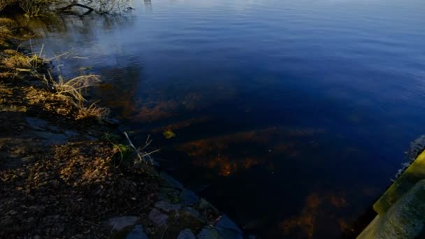 Camera Tilts Reveal Alster Lake Hamburg Sunny Day — Stockvideo