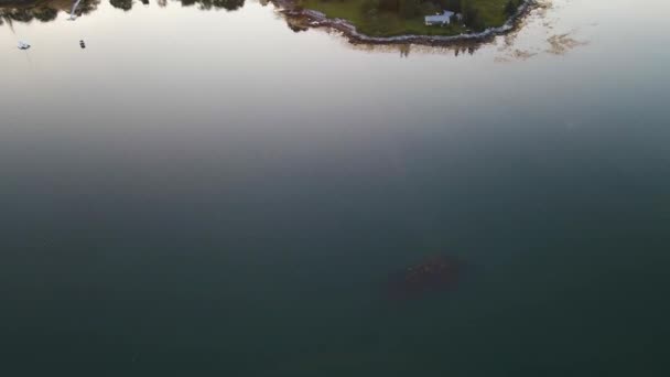 Peaceful Evening Maine Coastline Penobscot Bay Maine Usa Aerial View — стокове відео