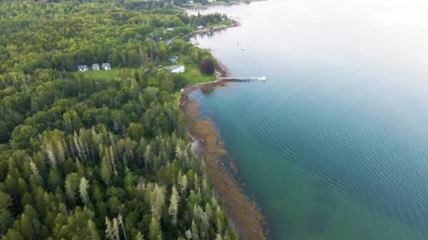 Deep Blue Water Trees Coastline Penobscot Bay Maine Usa Aerial — Stockvideo