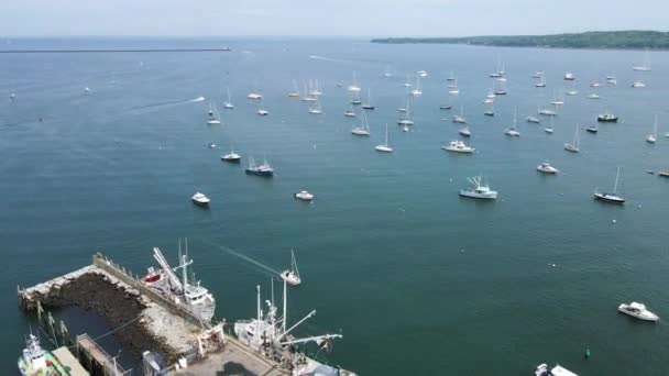 Boats Docked Bay Rockland Harbor Maine Usa Aerial View Panning — Video