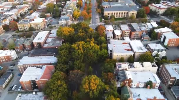 Monumento Histórico Ladeado Por Árvores Richmond Virgínia Estados Unidos — Vídeo de Stock