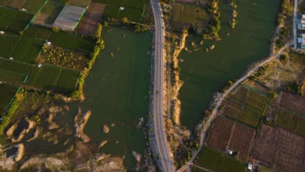Estrada Asfalto Que Leva Através Parcelas Agrícolas Vietnã Vista Aérea — Vídeo de Stock