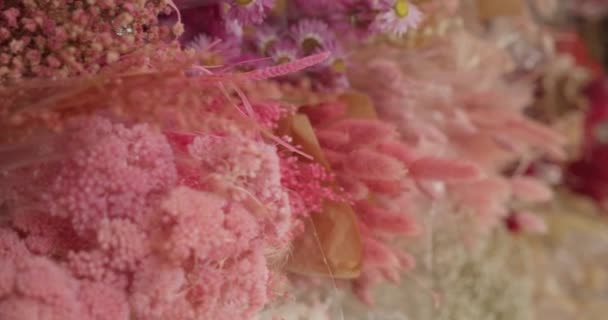 Gimbal Ходить Вперед Снимок Полки Сушеными Цветами Оттенках Розового — стоковое видео