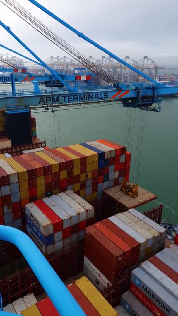 Uitzicht Kraanlift Bij Apm Terminal Rotterdam Hoge Hoek Verticale Video — Stockvideo