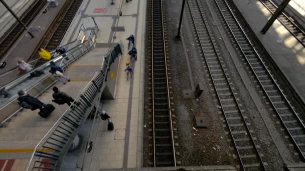 Camera Kantelt Omhoog Vanaf Het Spoor Onthullen Hamburg Centraal Treinstation — Stockvideo