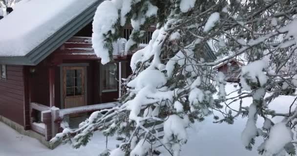 Aerial View Revealing Cottage Middle Snowy Trees Cloudy Lapland Circling — Stock video