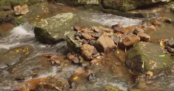 在茂密的热带雨林中 一条随机流过岩石表面的镜头 — 图库视频影像