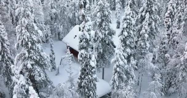 Aerial View Cabin Middle Snow Covered Forests Cloudy Lapland Orbit — Vídeos de Stock