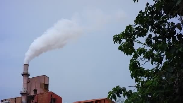 看到工厂倾倒废气时的景象 公司造成的空气污染使自然受到损害和不健康 — 图库视频影像