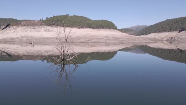 Bare Dry Branches Trees Submerged Waters Aceredo Old City Spain — Stock Video