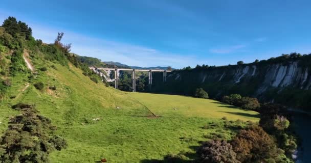 Flight South Rangitikei Viaduct Lush Fields Farm New Zealand — стоковое видео